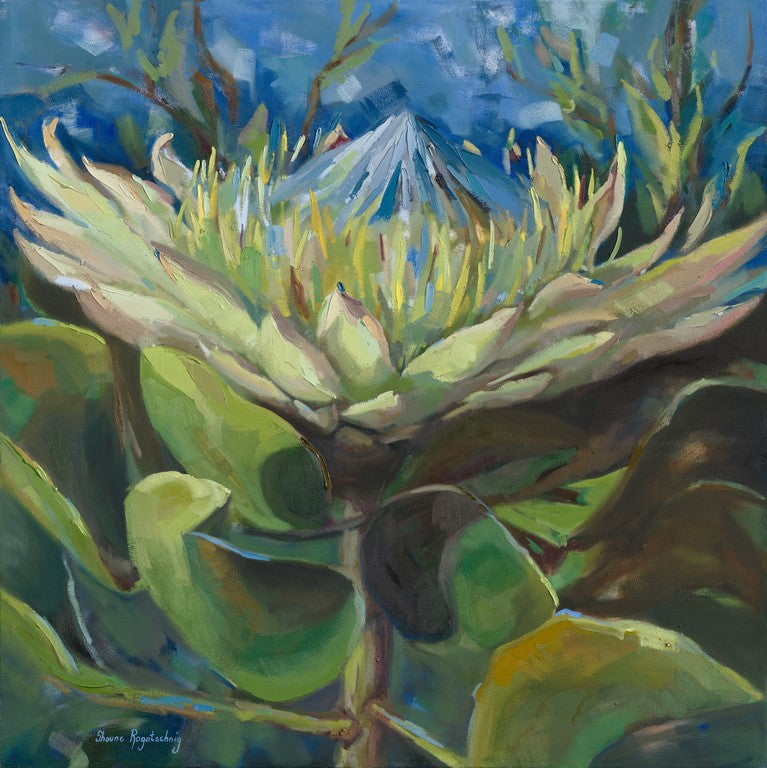 I'm not feeling Blue