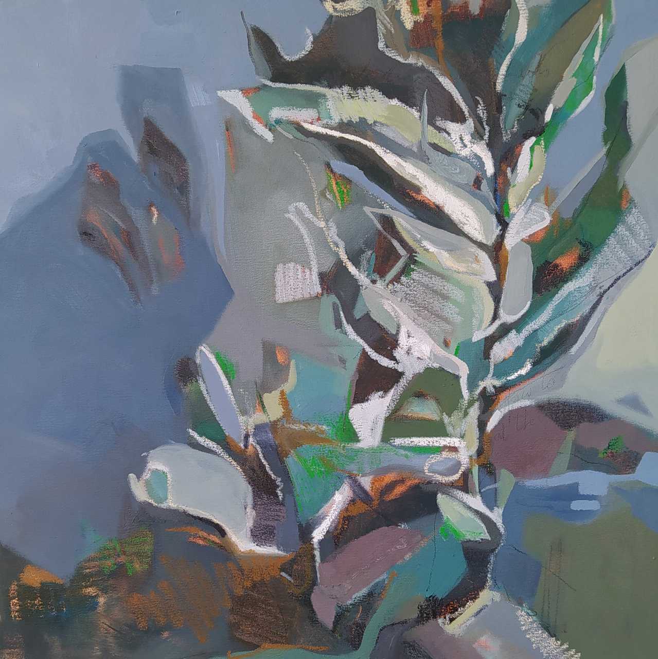 Evanescence of beauty