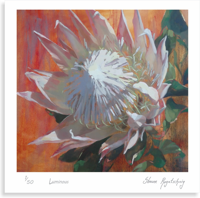 Luminous